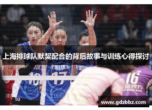 上海排球队默契配合的背后故事与训练心得探讨